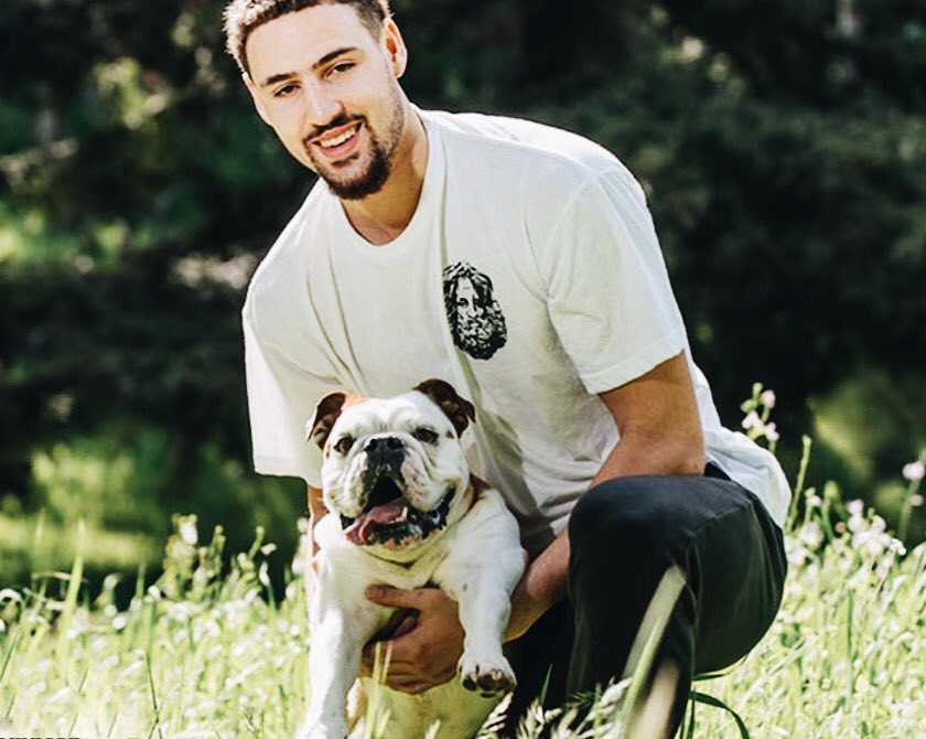 当协防迟疑 当协防迟疑